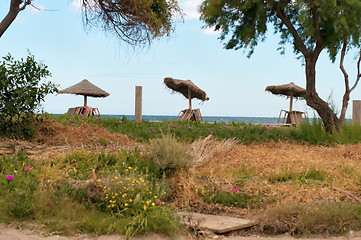 Image showing Parasols on the beach