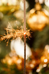 Image showing burning sparkler and out of focus christmas tree 