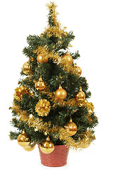 Image showing small christmas tree in pot with yellow balls 