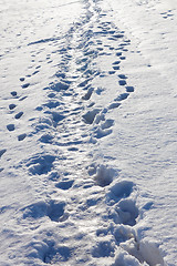 Image showing Narrow footpath in the snow