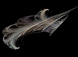 Image showing Fractal, feather