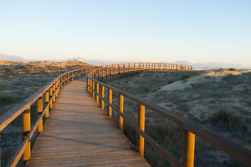 Image showing Wooden walkway
