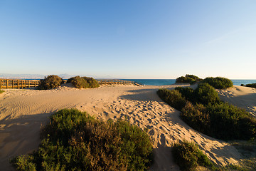 Image showing Costal dunes