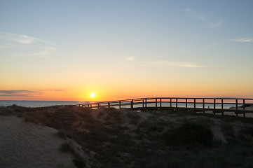 Image showing Sunrise over coastal dunes