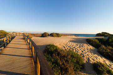 Image showing Across the dunes