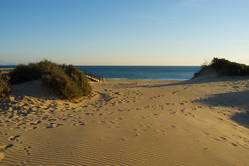 Image showing Costal dunes