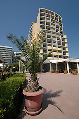 Image showing Hotel and plant