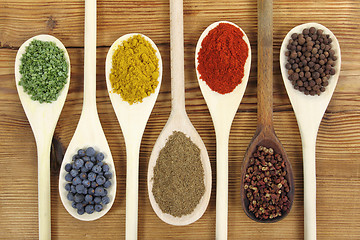 Image showing Spices