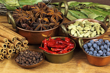 Image showing Spices