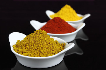 Image showing Indian spices