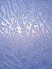 Image showing Ice natural pattern on glass