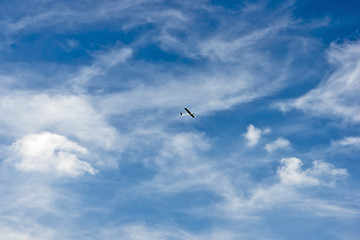 Image showing Small plane