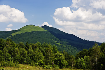 Image showing Mountain meadows at the top