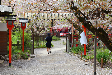 Image showing Kyoto