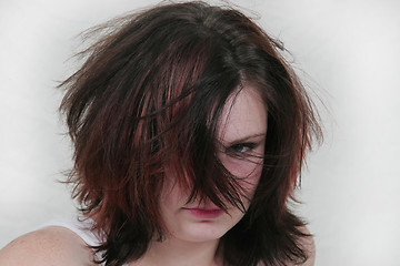 Image showing hair portraitno caption