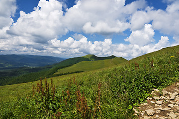 Image showing Beatifool green mountains in Poland of Bieszcady