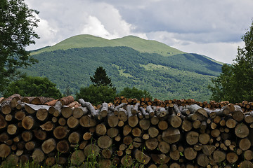 Image showing Beautifool green mountains in polish of Bieszczady