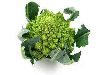 Image showing Romanesco