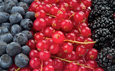 Image showing Background of Berries 