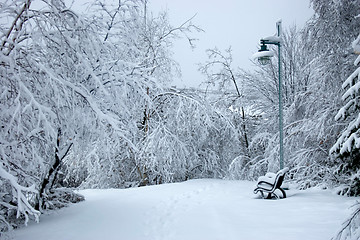 Image showing after the storm