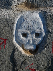 Image showing skull on a rock