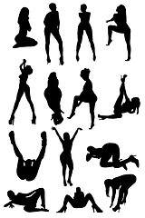 Image showing Different silhouettes of the women