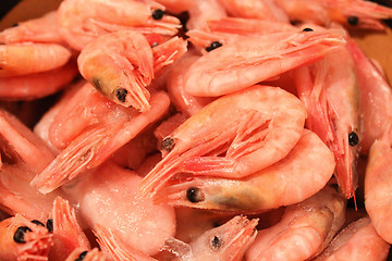 Image showing Many boiled tasty shrimps