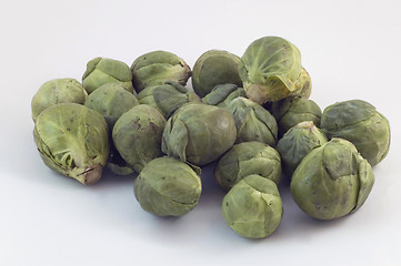 Image showing Raw Sprouts