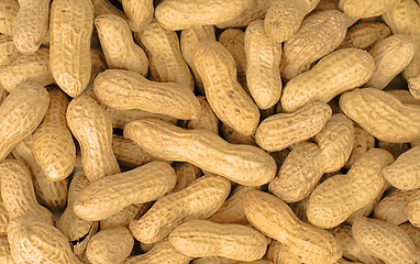 Image showing Peanuts