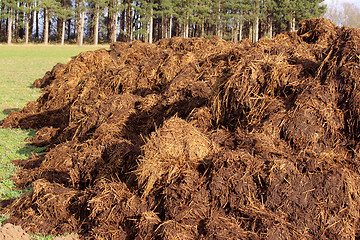 Image showing farm manure