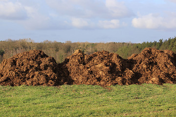 Image showing manure for agriculture