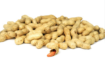 Image showing Peanuts