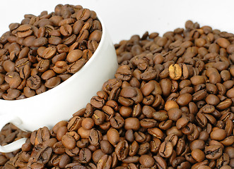 Image showing Coffee beans in a cup