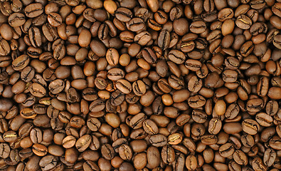 Image showing Coffee beans background