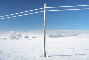 Image showing Empty wild winter landscape blue sky, snowy telefony lines