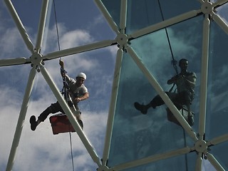 Image showing window cleaners