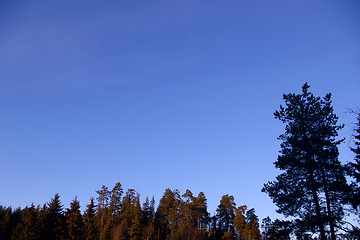 Image showing Blue sky