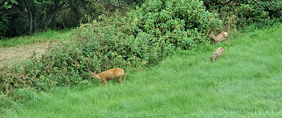 Image showing Mom and the Kids