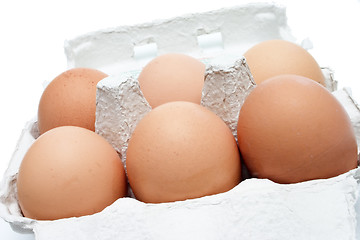 Image showing Six brown eggs in a box