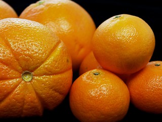 Image showing Citrus