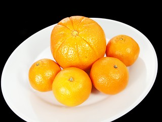 Image showing Citrus fruits