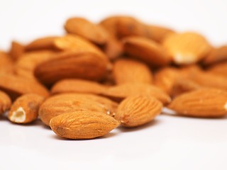 Image showing Almond