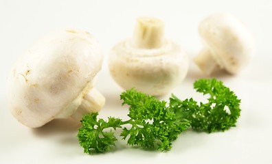 Image showing Champignon with parsley