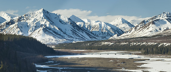 Image showing Little bridge in Denali park