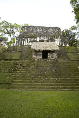 Image showing overgrown mayan ruins