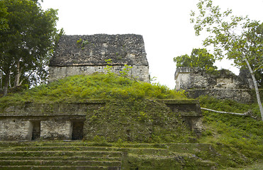 Image showing overgrown mayan ruins