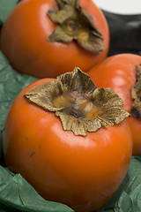 Image showing persimmon