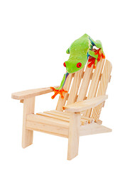 Image showing Tropical Vacation Frog