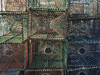 Image showing Fish trap