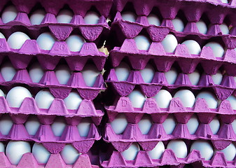 Image showing Eggs